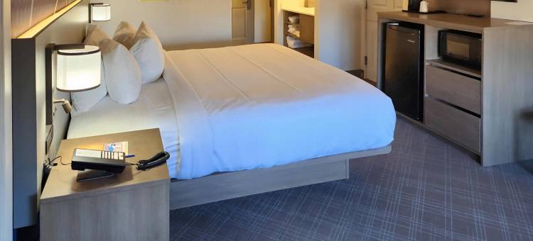 桑默塞特舒适套房酒店 - 黑山丘陵地区(Comfort Inn & Suites Summerset - Black Hills Area)图片