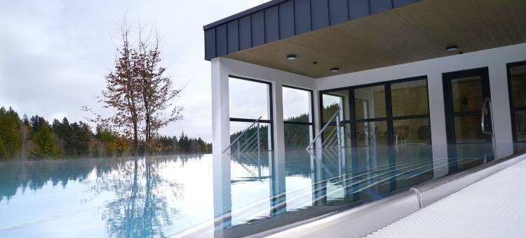沃德安诺柴帕斯酒店(Das Waldhotel - Genuss & Wellness am Notschreipass)图片