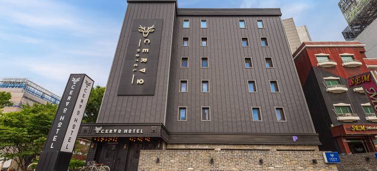 塞沃酒店(Daejeon Yuseong Serbo)图片