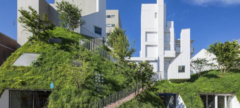 白井屋酒店(Shiroiya Hotel)图片