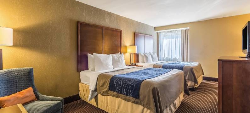 图珀洛舒适酒店(Comfort Inn)图片