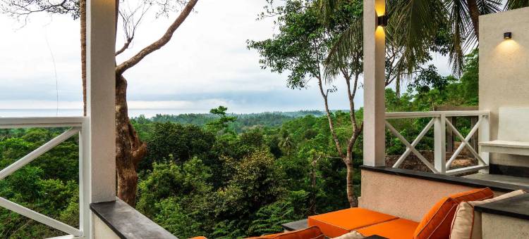纯净之境水疗度假酒店(Tabula Rasa Resort & Spa)图片