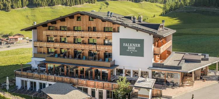 法尔克内赫福酒店(Naturhotel Falknerhof)图片