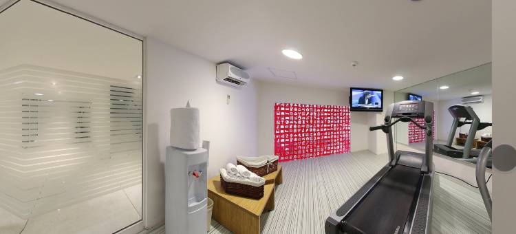 菲斯塔快捷酒店-瑙卡尔潘(Fiesta Inn Express Naucalpan)图片