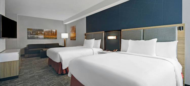 哈特福德克伦威尔SpringHill Suites酒店(SpringHill Suites Hartford Cromwell)图片