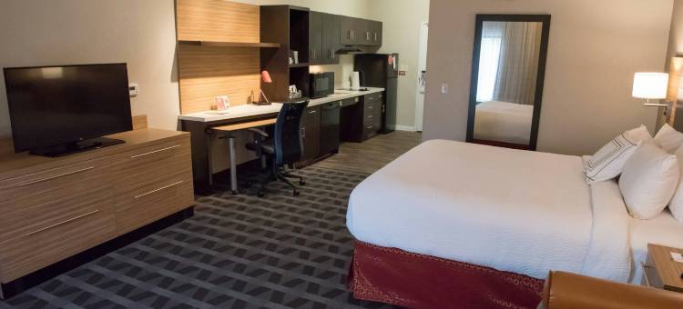 巴特尔克里克TownePlace套房酒店(TownePlace Suites Battle Creek)图片