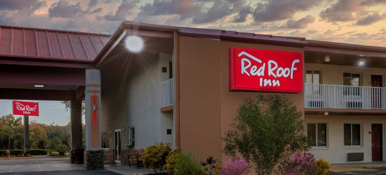埃伦顿-布雷登顿红顶酒店(Red Roof Inn Ellenton - Bradenton NE)图片