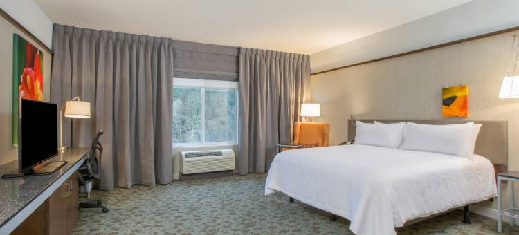 奥林匹亚希尔顿花园酒店(Hilton Garden Inn Olympia)图片