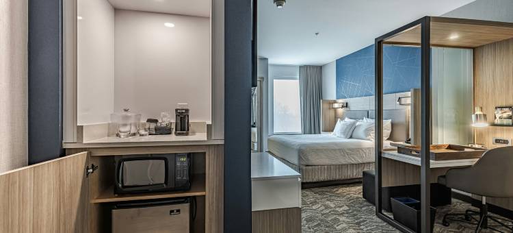 底特律斯特林海茨万豪SpringHill酒店(SpringHill Suites by Marriott Detroit Sterling Heights)图片