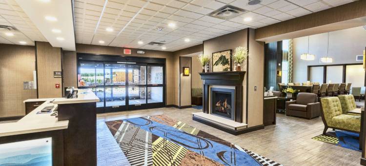 北德卢斯商场区欢朋套房酒店(Hampton Inn & Suites Duluth North/Mall Area)图片