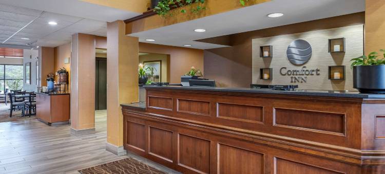 东兰辛奥克莫斯舒适酒店(Comfort Inn Okemos - East Lansing)图片