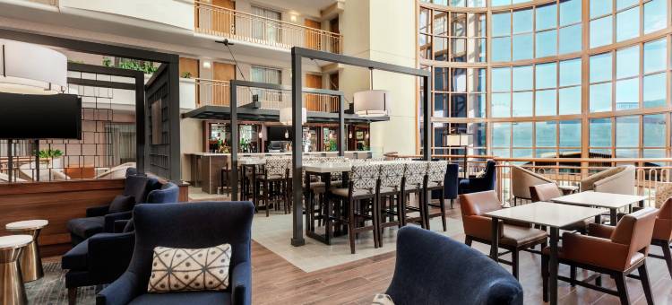 拉斯维加斯会议中心希尔顿安泊套房酒店(Embassy Suites by Hilton Convention Center Las Vegas)图片