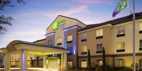 Holiday Inn Express & Suites DFW -葡萄