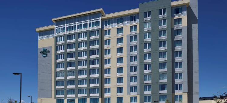 希尔顿Homewood套房-卡尔加里机场(Homewood Suites by Hilton Calgary-Airport)图片
