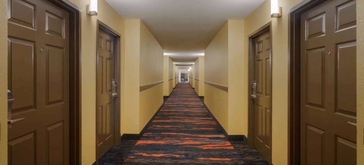 奥利夫布兰奇温德姆速 8 酒店(Hometown Place)图片