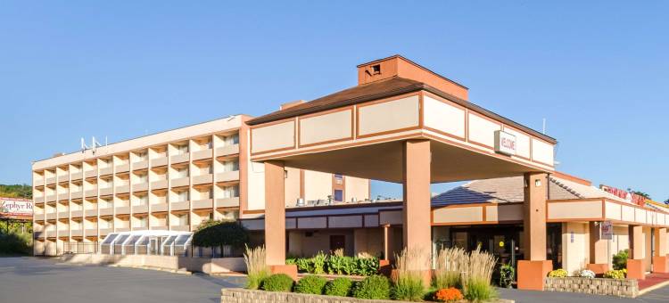 品质酒店(Quality Inn)图片