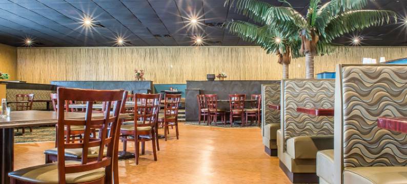 棕榈岛室内水上公园品质酒店套房(Quality Inn & Suites Palm Island Indoor Waterpark)图片