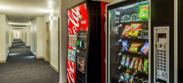 迈克艾伦机场附近凯隆酒店(Clarion Inn Near McAllen Airport)图片