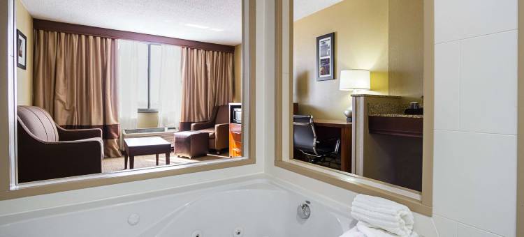 市中心舒适酒店(Comfort Inn Downtown)图片