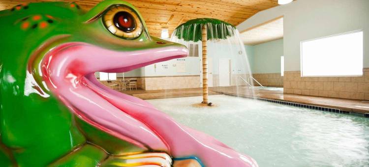 梅奥诊所区域的医城旅馆&套房(Med City Inn & Suites Rochester Mayo Clinic Area)图片