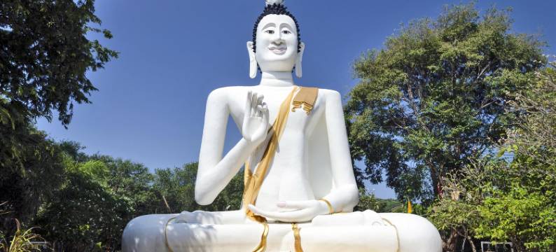 库酒店@海洋(Ku at Sea)图片