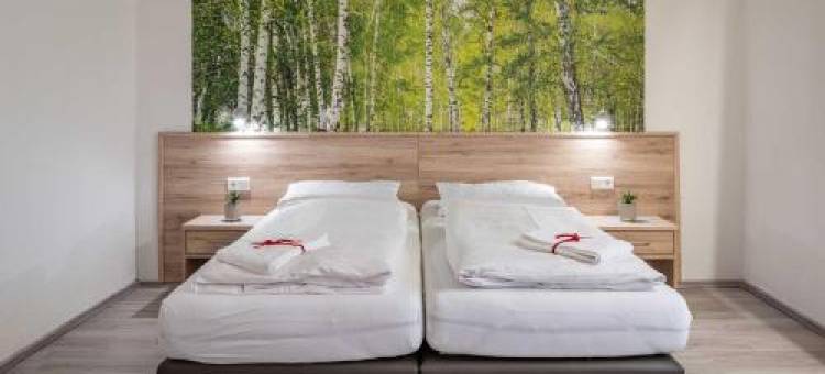 H&S 野马酒店(Hotel Wildpferd Dülmen)图片