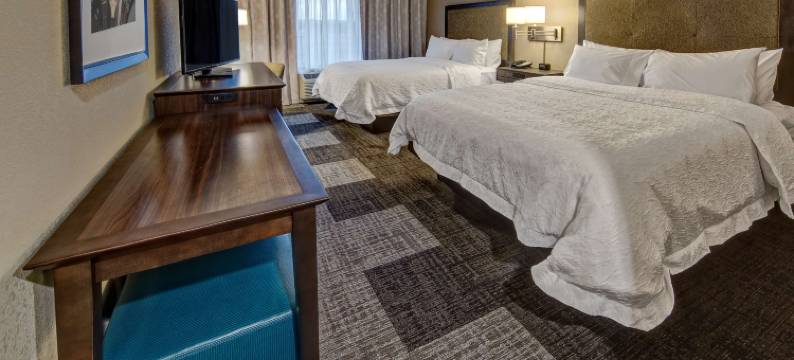 亨德森维尔纳什维尔欢朋套房酒店(Hampton Inn & Suites Nashville/Hendersonville)图片