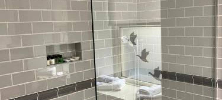 圣家庭旅馆(Rooms at the Saint)图片