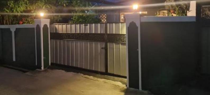 Number 01 by Taprobane图片