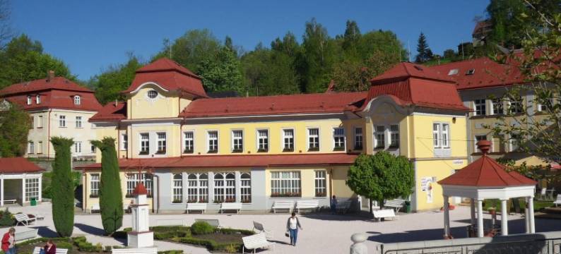 利比维达 Spa 度假村 - 诺维杜姆(Spa Resort Libverda - Hotel Nový Dům)图片