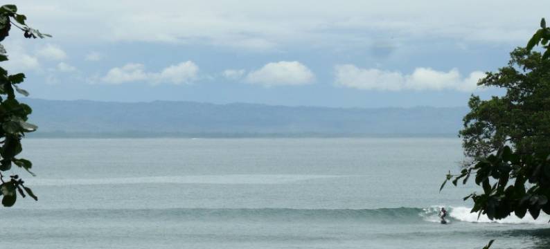 爪哇湾海滩酒店(JavaCove Beach Hotel)图片