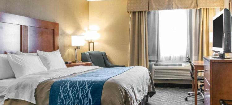 舒适套房酒店(Comfort Inn & Suites Napoleon)图片