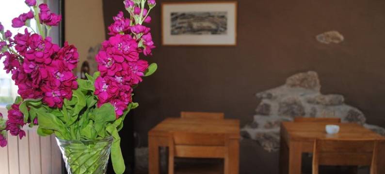 布拉斯吉尔旅馆(Blas Gwyr)图片