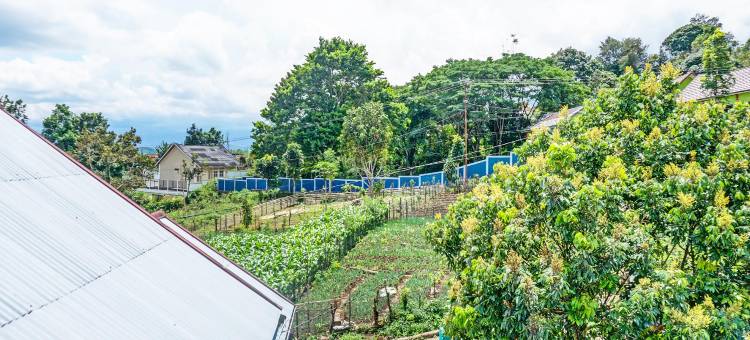 SPOT ON 92169扎赫拉清真寺民宿(Homestay Zahra Syariah Gunung Dempo Mitra RedDoorz)图片