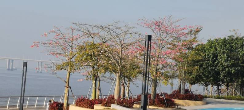 广州珀丽雅筑公寓(南沙天后宫店)图片