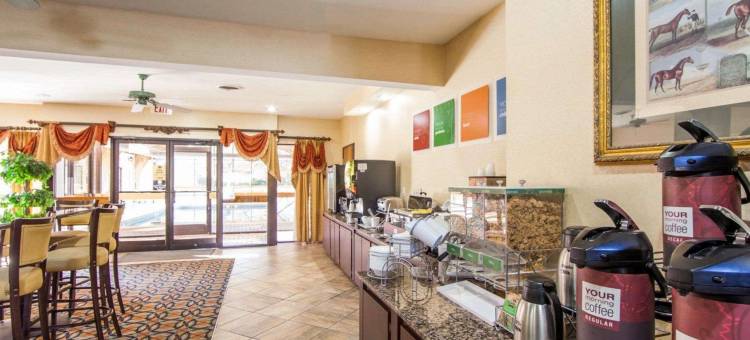 舒适套房酒店(Comfort Suites)图片