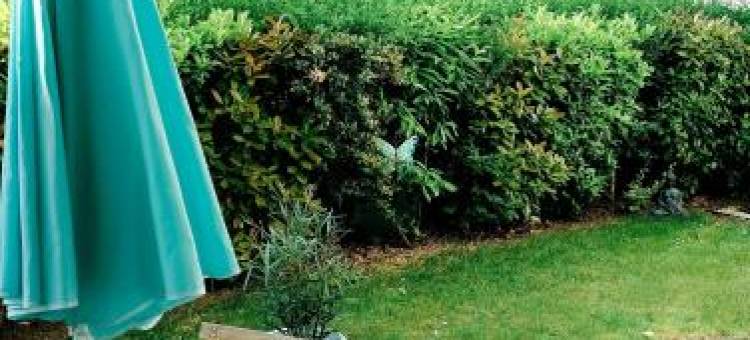 La Clef du Bonheur - 9 Min de Disney Jardin Privatif图片