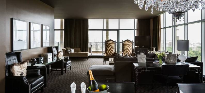 休斯顿博物馆区哉哉酒店(Hotel Zaza Houston Museum District)图片