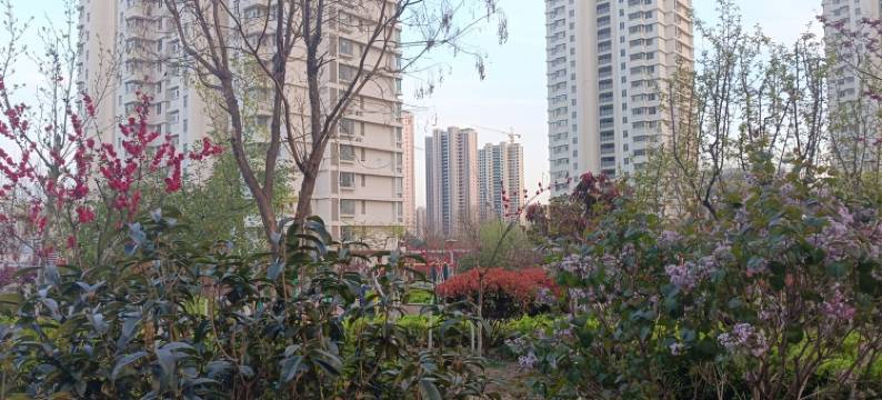 有一家旅游民宿(太公岛一路分店)图片