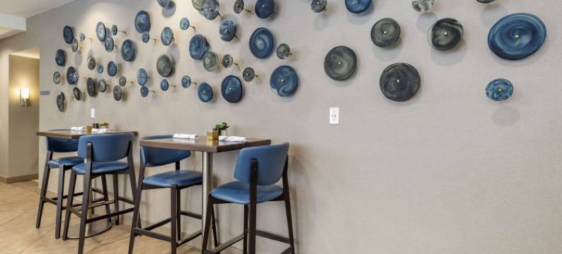 洛克维尔坎布里亚酒店(Cambria Hotel Rockville)图片