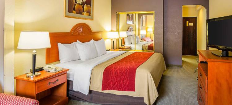 阿尔塔维斯塔品质酒店套房-南林兹堡(Quality Suites Altavista – Lynchburg South)图片