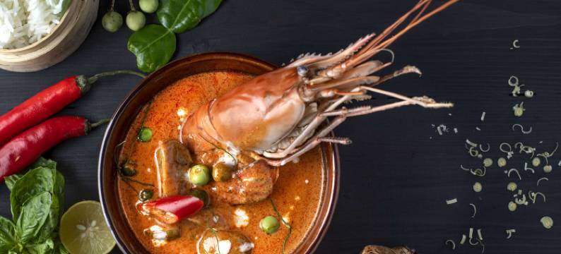 焦特布尔丽亭酒店(Park Plaza Jodhpur)图片