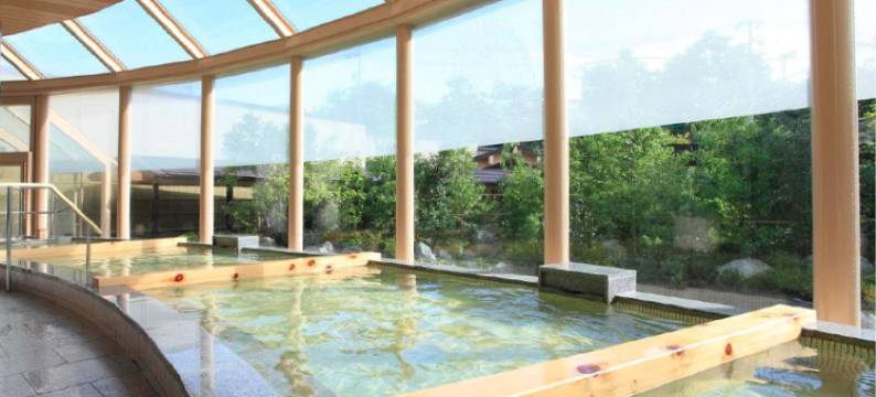 滨名湖维森酒店(Hotel Wellseason Hamanako)图片