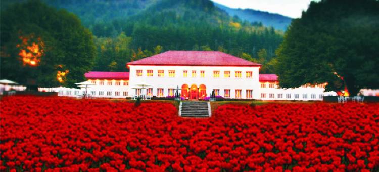 拉利特大皇宫斯里纳格酒店(The LaLit Grand Palace Srinagar)图片