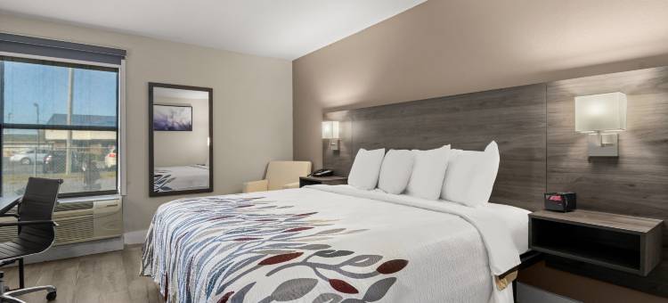 红屋顶华盛顿酒店(Red Roof Inn Washington, NC)图片