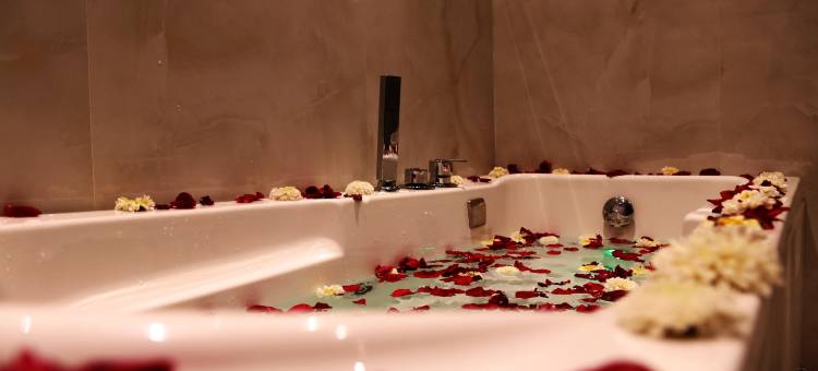 班库拉希尔顿酒店(Hotel Hilton 	(Bankura))图片