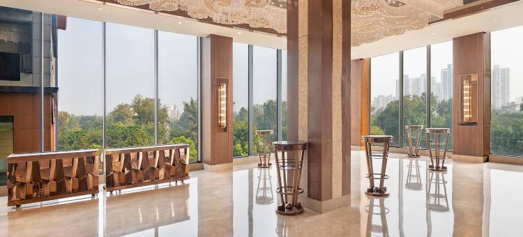 德里NCR-卡萨比塔丽笙蓝标酒店(Radisson Blu Towers Kaushambi Delhi NCR)图片