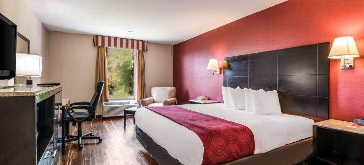 波科莫克市高速公路13号伊克诺旅馆(Econo Lodge Pocomoke City Hwy 13)图片