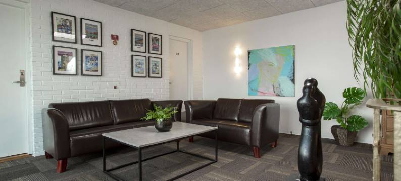 海宁海豚酒店(Dolphin Hotel Herning)图片