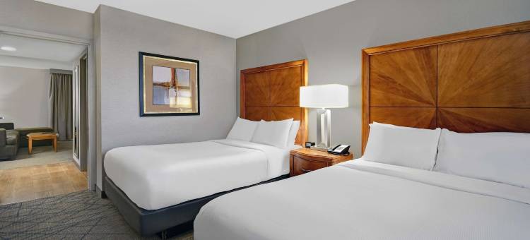 底特律利沃尼诺维希尔顿安泊酒店(Embassy Suites by Hilton Detroit Livonia Novi)图片